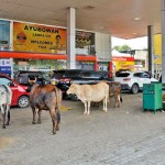 Dematagoda - Waiting in line. Pix by Eshan Fernando