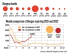 Dengue menace infects 3,000 in ten days this month