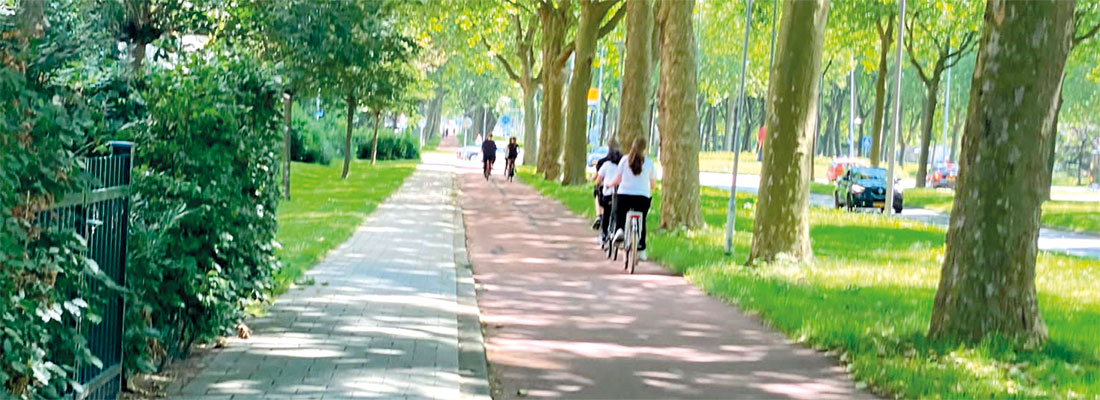 On a bicycle made for you: Can we go the Dutch way?