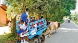 Path to school is paved with perils; chaos in rural areas