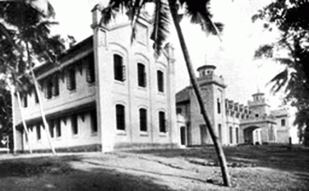 Amidst the damba trees at Dam Street a school took roots