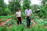 A home garden that spread its roots