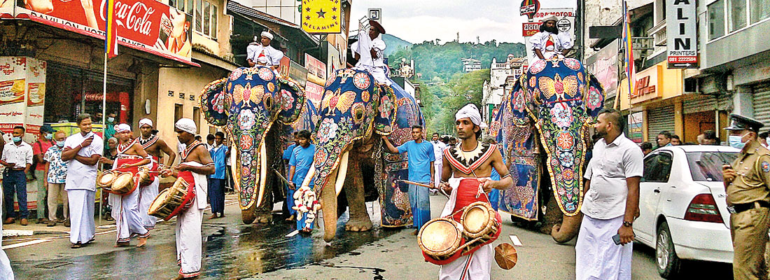 Kap planting ceremony heralds Esala Perahera