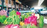 At the Dambulla wholesale market
