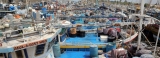 Fishing vessel operators bemoan unbearable costs