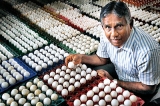 Scramble to secure Rs 60 eggs deal