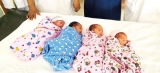 Quadruplets born in Puttalam healthy and safe: Doctors