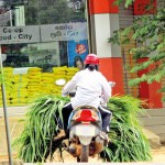 Karuwalagasweva: Greener pastures: Bikes are now the most common mode of trasnsport for many goods Pic by Jayarathna Wikramaarachchi