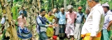 How to fight pests: Awareness programme for Puttalam coconut farmers