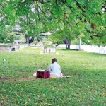 Anuradhapura: The peace of solitude                                                                                Pix by Eshan Fernando