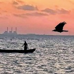 Puttalam Calmer waters:  A crow flies by a solitary fisherman in a boat Pic by Hiran Priyankara