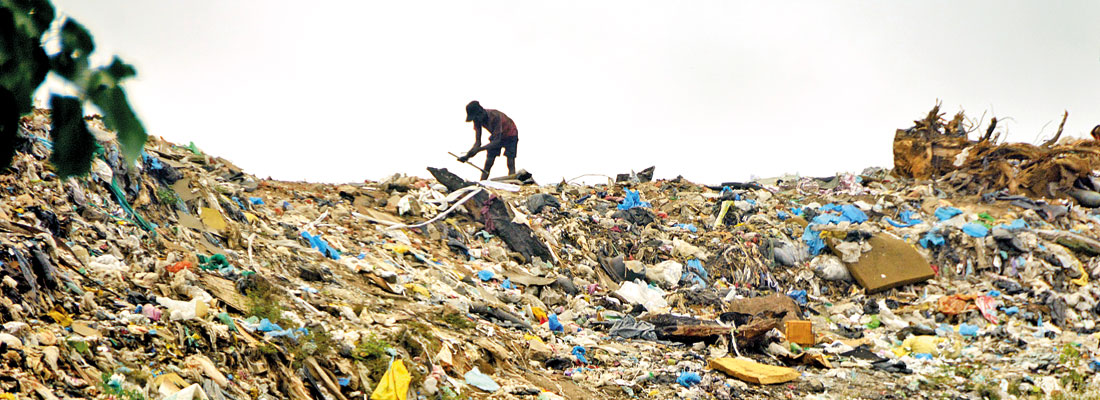 Colombo municipality dumps waste  creating public health risk