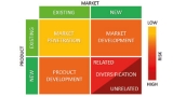“Existing – New” Strategic Options in Tackling Market Pressure
