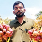 Gayan Wickrema holds up onions from the good harvest.