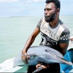 The fisherman gets ready to set free one of the  dolphins that survived