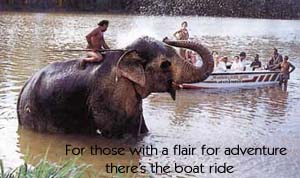 For those with a flair for adventure there's the boat ride