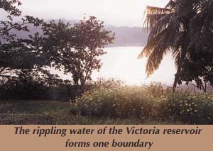 The rippling water of the Victoria reservoir forms one boundary