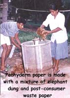 Pachyderm paper is made with a mixture of elephant dung and post-consumer waste paper
