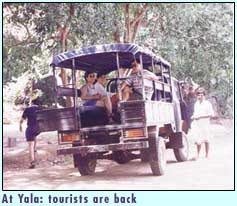 At Yala: tourists are back