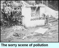 The sorry scene of pollution