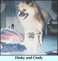 Dinky 'n Cindy
