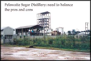 Pelwatte Sugar Distillery: need to balance the pros and cons