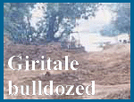 Giritale bulldozed