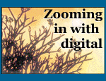 Zooming in with digital