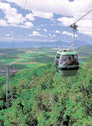 Riding above the rainforest