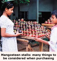 Mangosteen stalls : many things to be consider