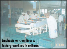 Emphasis on cleanliness: factory workers in uniform
