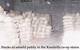 Stocks of unsold paddy in the Kaudulla co-op stores