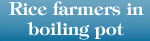 Rice farmers in boiling pot