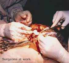 Surgeons at work: above and inset)