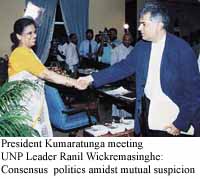 President Kumarathunga meeting UNP leader Ranil Wickremesinghe: Consensus politics amidst mutual suspicion
