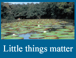 Little Things matter