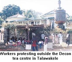 Workers protesting outside the Devon tea centre in Talawakele
