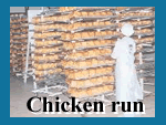 Chicken run