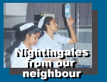 Nightingales from our neighbour