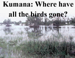Kumana: Where have all the birds gone?
