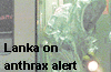Lanka on anthrax alert