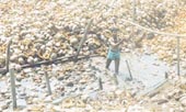 Raw coconut husks(called matta) are first soaked for a few days in a soaking pit.