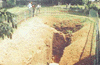 Holy well amidst Jawatte graves