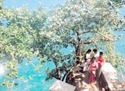 Making vows at Koneswaram