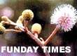 TV TIMES