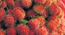 July & August fruit, Rambutan