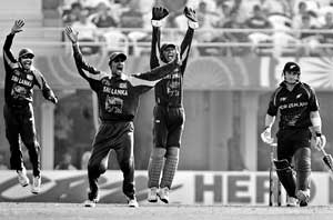 Now the Lankan bowlers will find the New Zealand wickets an intriguing challenge