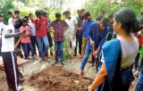 Students take up agriculture projects