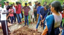 Students take up agriculture projects