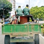 Borella Transport tricks: A tractor carrying a heavy load also gives a bike a ride.